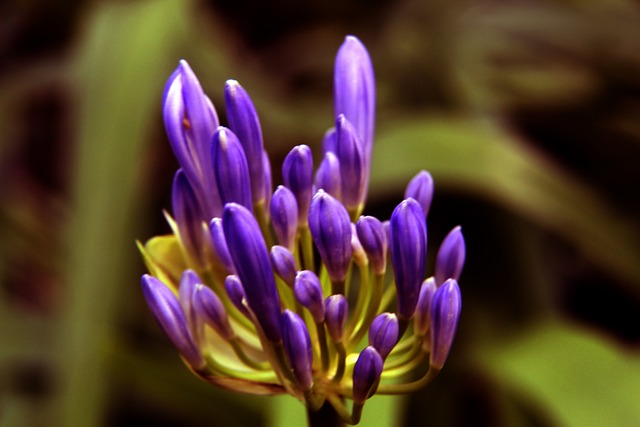 讨论的比赛 讨论的比赛