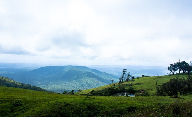 纯的分数预 纯的分数预