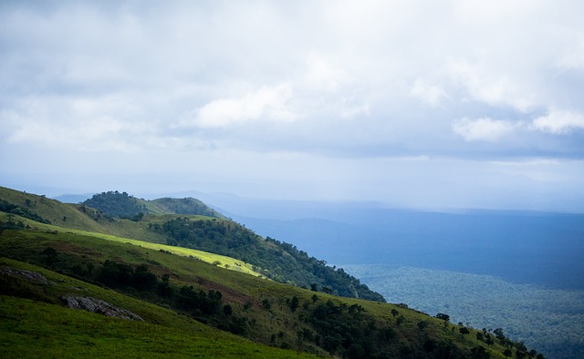 献新力量 献新力量