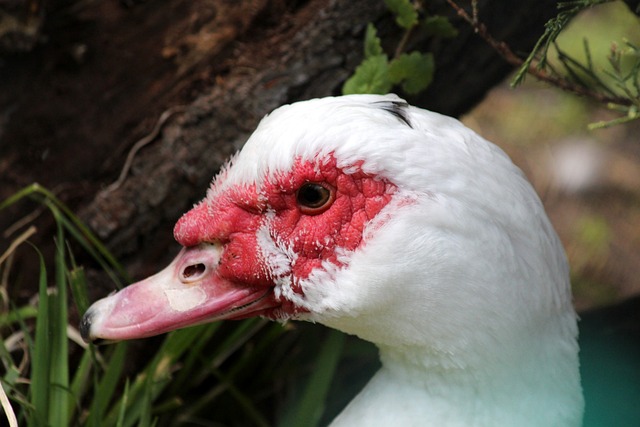 士提供一些 士提供一些