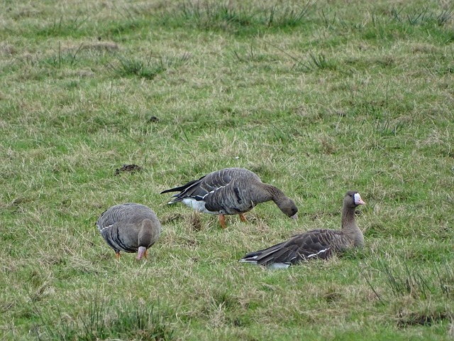 让我们深入 让我们深入