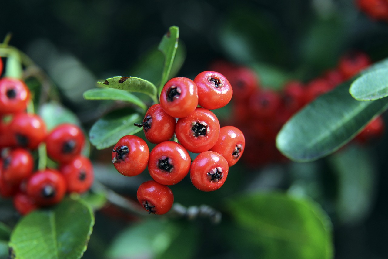 原因不仅仅 原因不仅仅