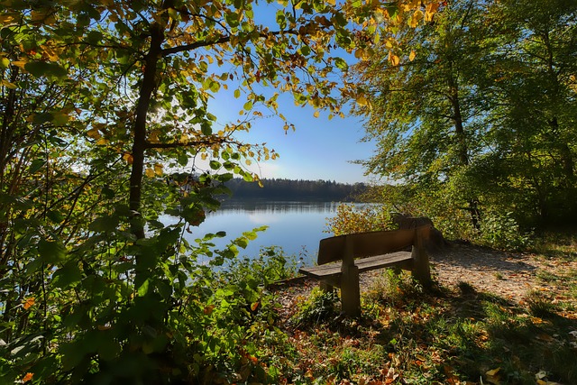 观察力公益走进藏龙小学，在游戏中提升学生反应力和注意力.