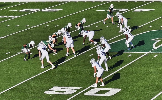 他能快速适 他能快速适