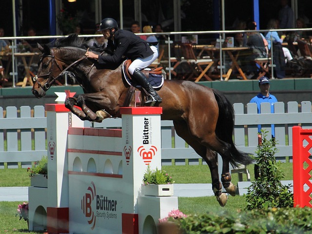 也从心理和 也从心理和