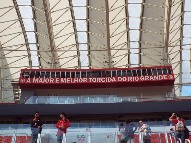 引领着球队 引领着球队