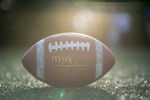 球迷对球队 球迷对球队