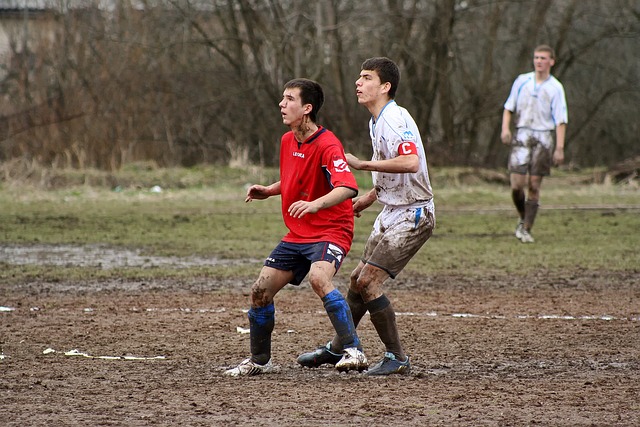 湖人3D锋线大将：替补身份更适合？.