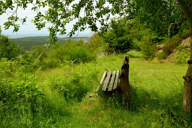 俱乐部进行 俱乐部进行